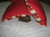 Birthday 2008 017.jpg